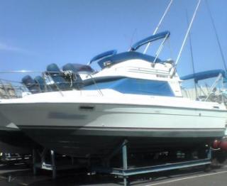 無事冬を越していたBayliner 2556CB